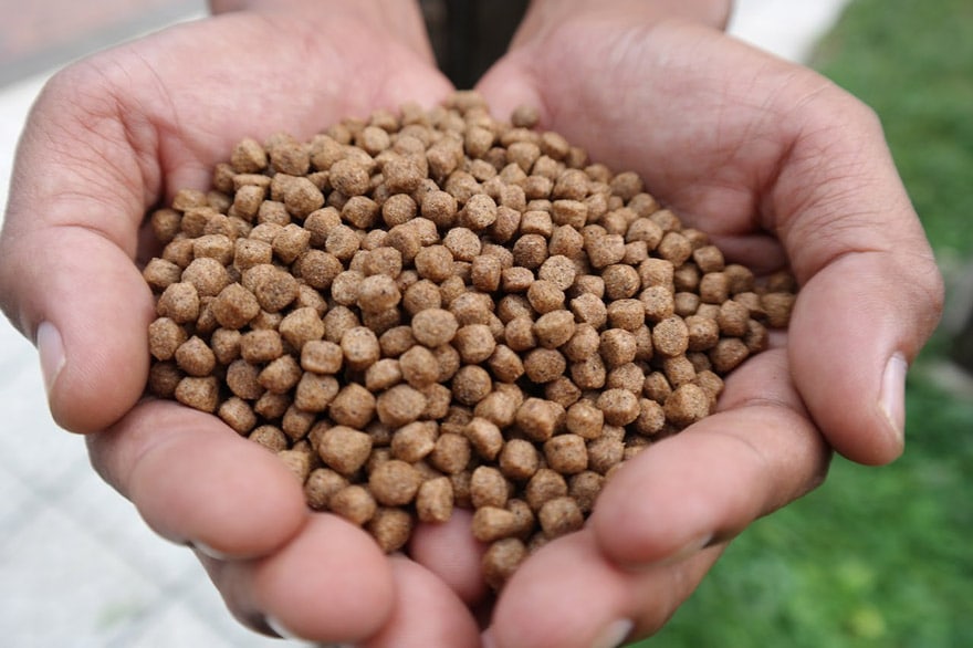 Consumo mínimo y máximo de pienso por tanque y día. Fish Farme Feeder