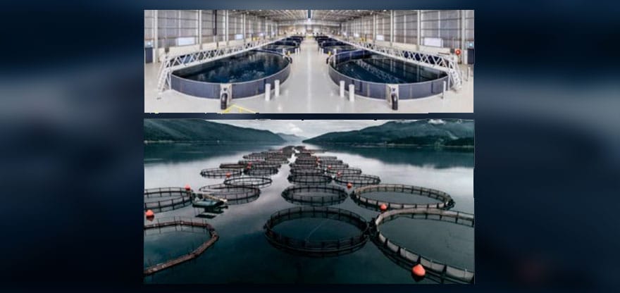 https://www.fishfarmfeeder.com/wp-content/uploads/2022/06/aquaculture-tanks-cages.jpg
