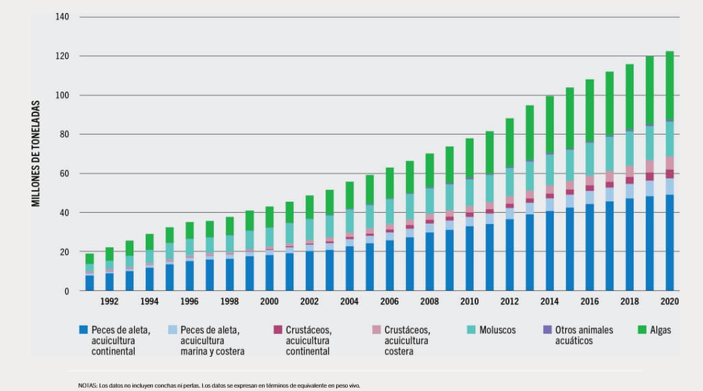 Producción acuícola mundial según FAO | FFF