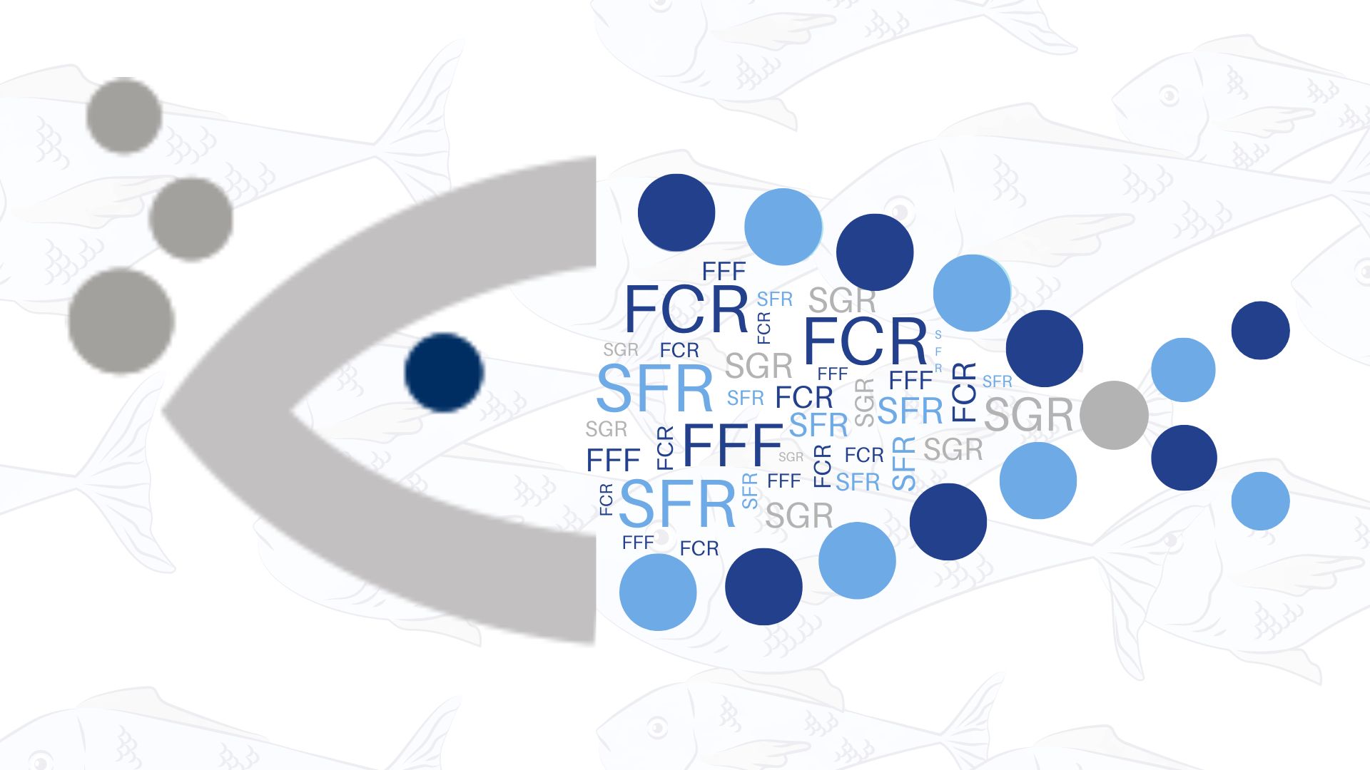 Optimisation of FCR and SGR with automated feeders for aquaculture