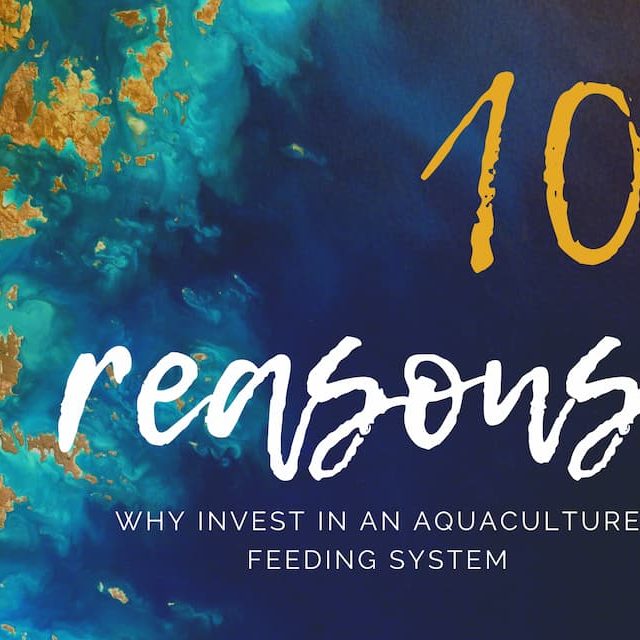 Ten Advantages Why Invest In an Aquaculture Feeding System