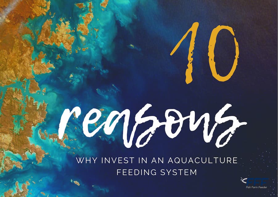 https://www.fishfarmfeeder.com/wp-content/uploads/2023/07/Reasons-why-investing-in-automated-feeding-systems-in-fish-or-shrim-farms.jpg
