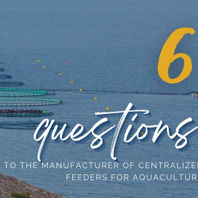 6 questions to the manufacturer of centralized feeders for aquaculture