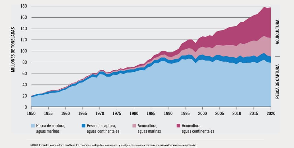 Blog Fao Fisheries And Aquaculture Production Since 1950 1