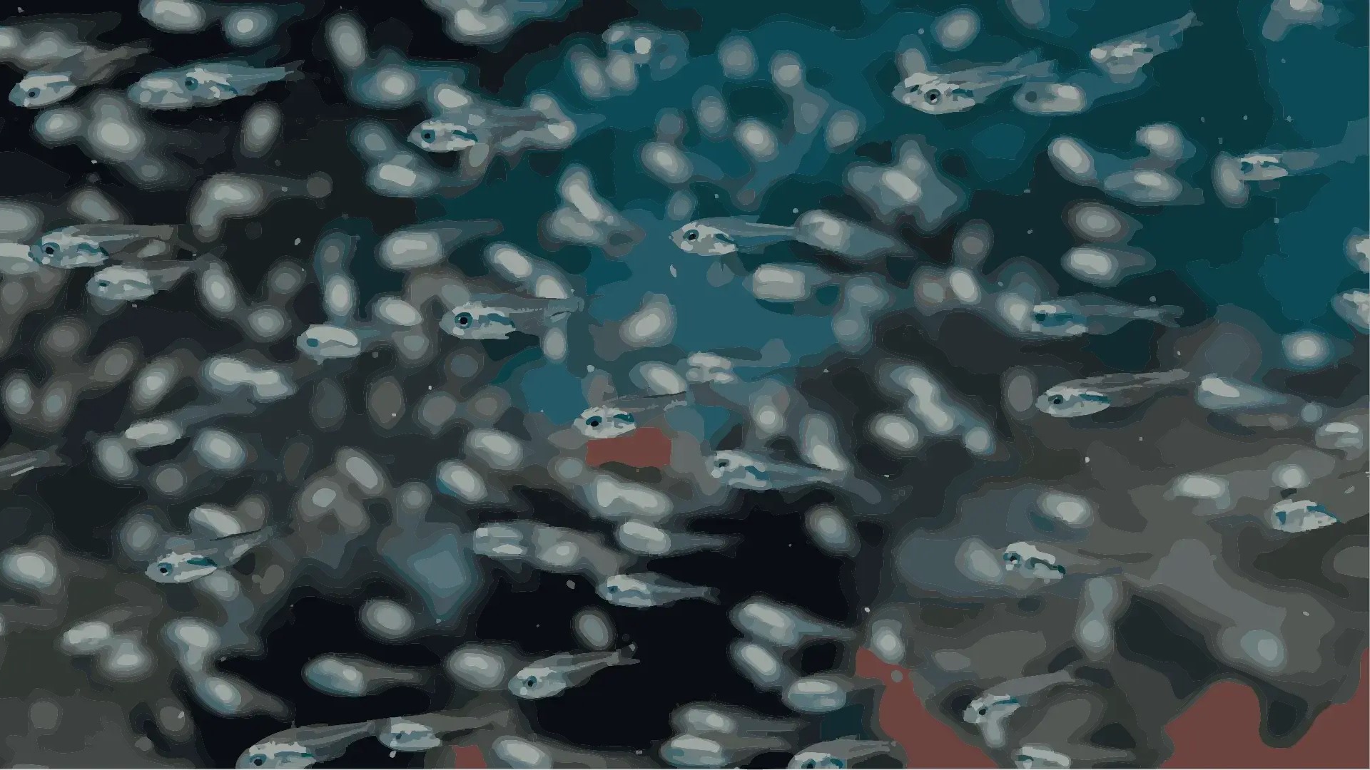 Blog especies mas cultivadas en acuicultura