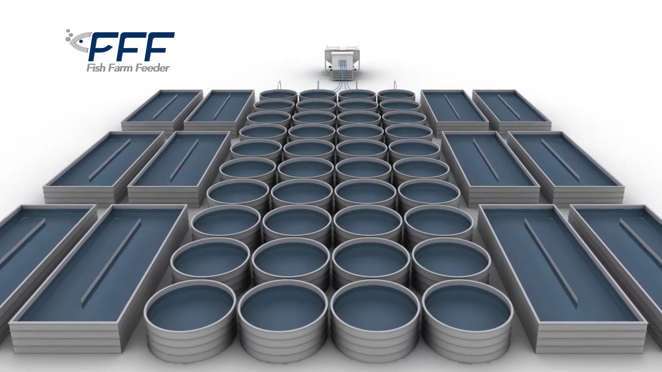 Blog 12.2 Centralized Feeding System Fish Aquaculture Fff