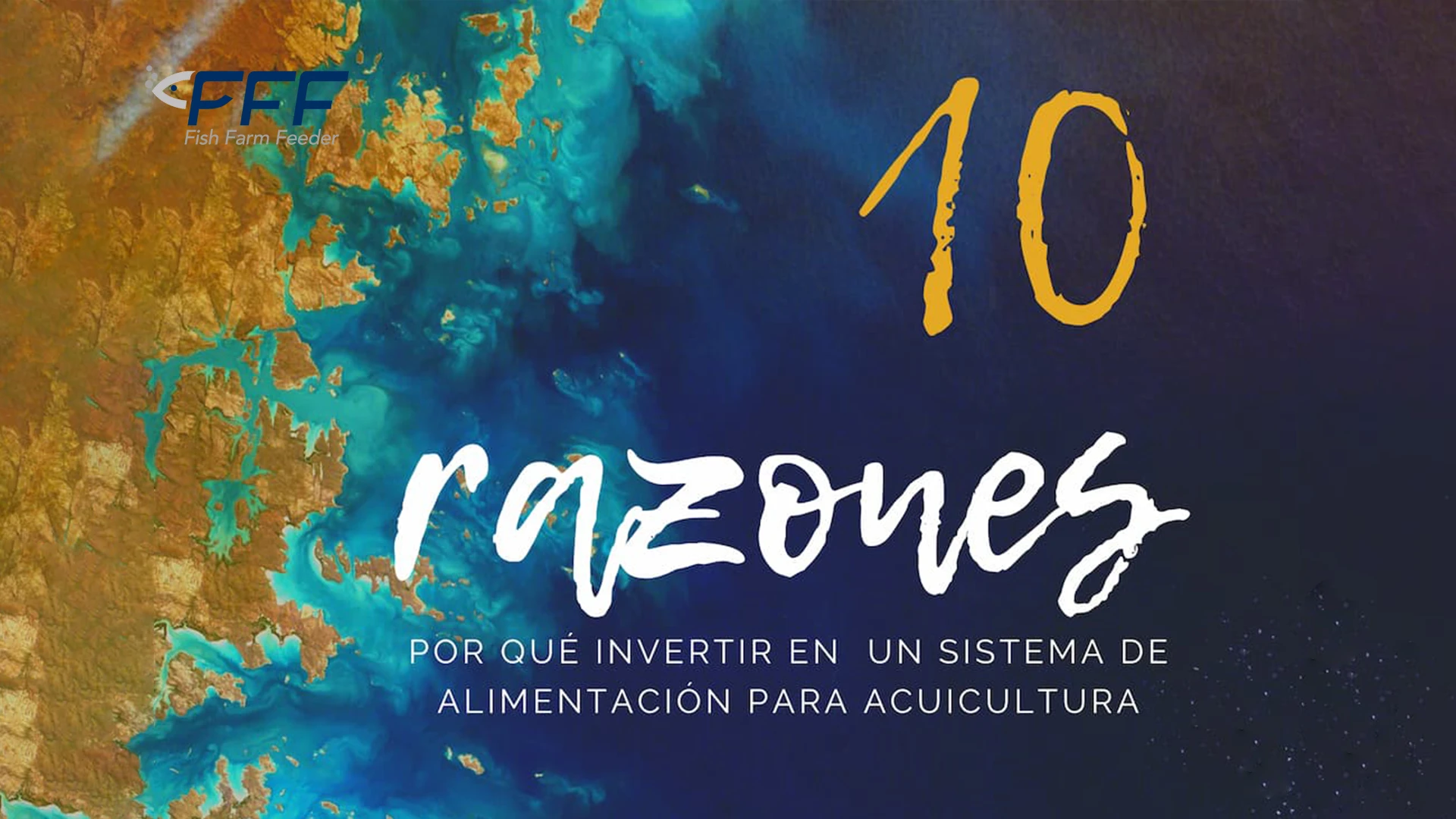 Blog 13.1 Razones De Inversion Moderinzacion Sistemas Alimentacion Automatizados Acuicultura