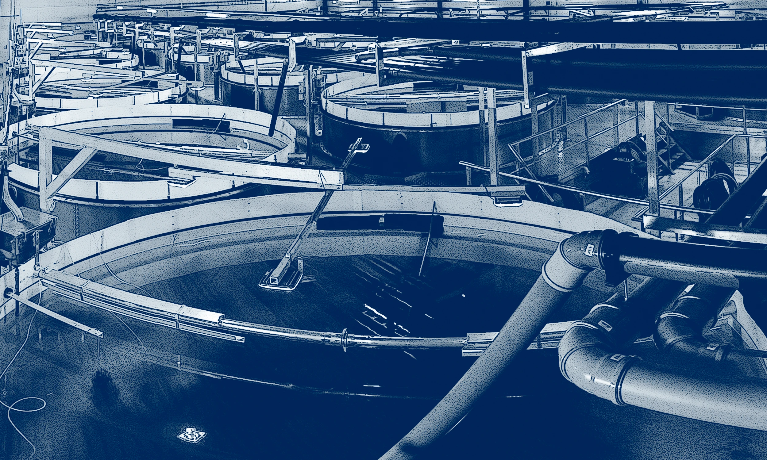 Header Piscifactoria 2