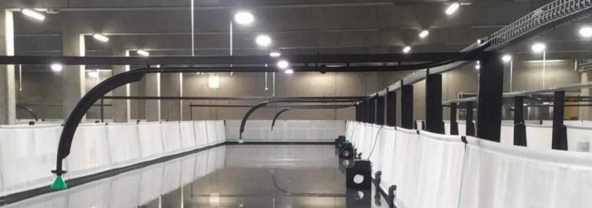 Pipes that deliver feed to fish tanks at fish farm