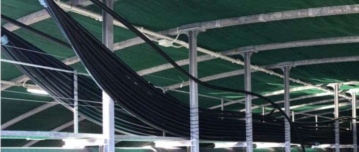 Pipes in fish farm