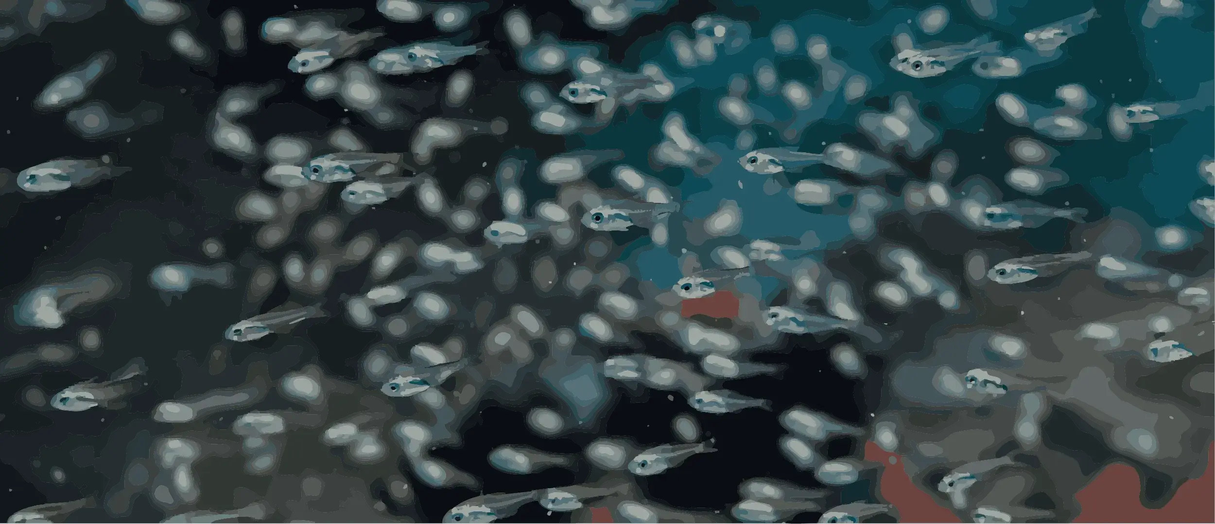 Vector Fondo Peces 14